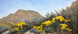 Spring – Goegap Nature Reserve near Springbok | 2012 | Oil on Canvas | 57 x 81 cm